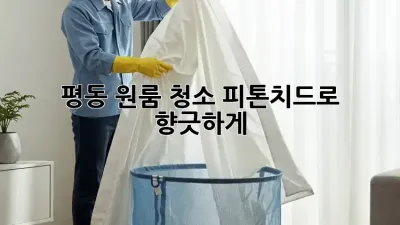 평동 원룸 청소🧹✨ 피톤치드로 향긋하게!